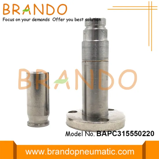 15.5mm Stainless Steel Armature Tube Flange Seat Plunger