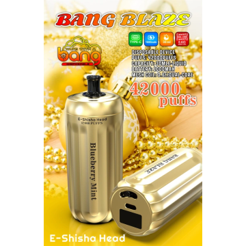 Bang Blaze 42K Puffs Disposable Vape Germany wholesale