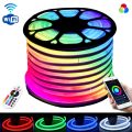 Colorful Flex Neno Light For Rooms Decoration