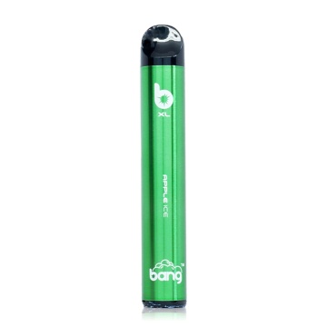 Mini Electronic Cigarette Fruit Flavors Bang XL 600puffs