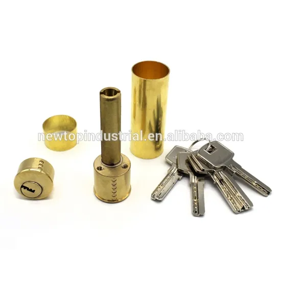 Delburg mortise rfid cylinder lock security euro profile cylinder lock