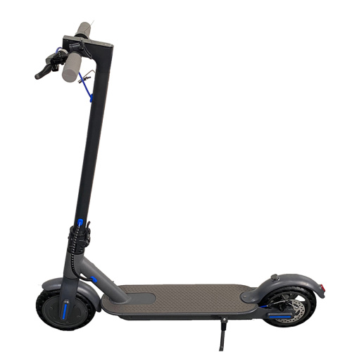 New Design OEM Citysports Electric Scooter