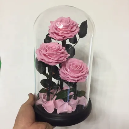Little Prince Rose in Glass Dome with Black Gift Boxes for Valentine's Day