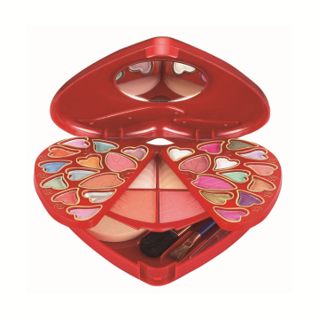 Sets de maquillaje profesional TLM: kits de paleta de sombras de ojos mate de color de color personalizado