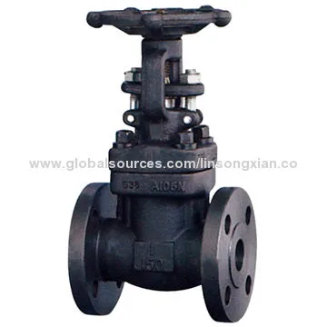 A105 Forged Steel Gate Valve
