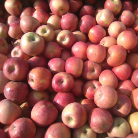 Fresh rich selenium apple sufficient supply