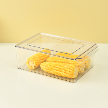Tong Penyimpanan Plastik Jelas Dengan Pemegang Built-In