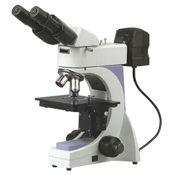 NJF-120A Upright Metallurgical Microscope