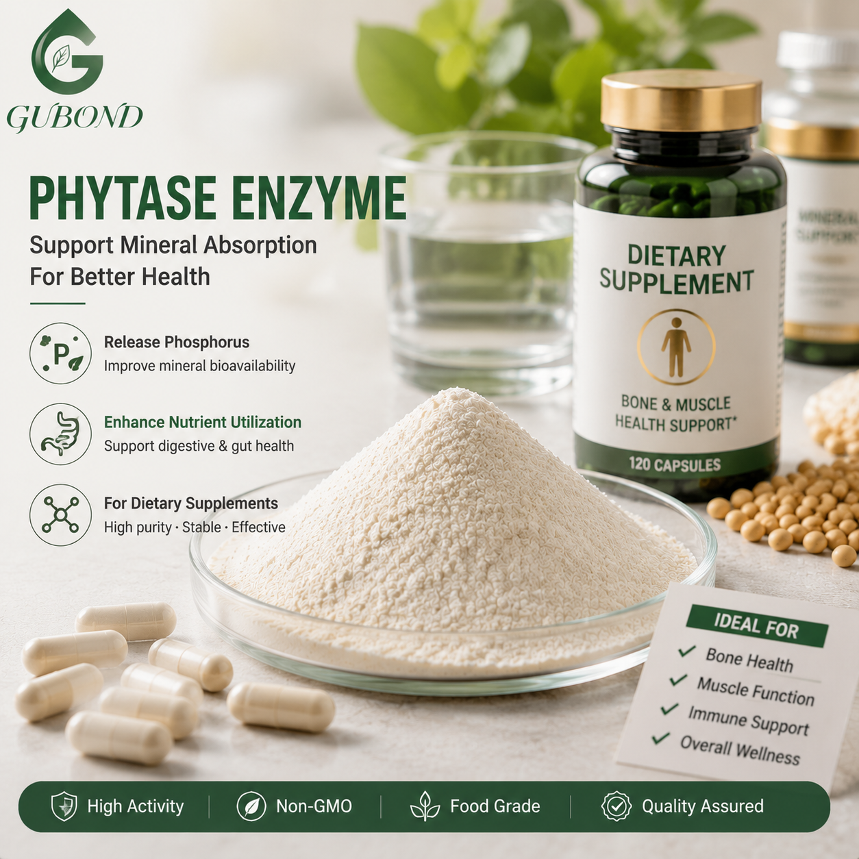 Phytase