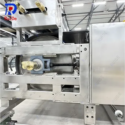Organic salt flaking machine