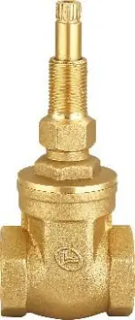 gate  valve