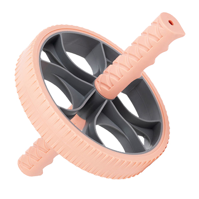 EW 005 Roue abdominale