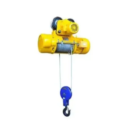 Wire Rope Hoist Capacity 500kg to 10t: Types and Origins