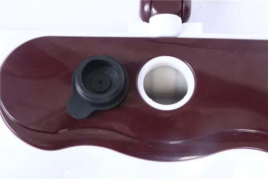 shark 2 in 1 electronic steam mop