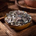 Abalone Shell for Liver Calming and Wind Control