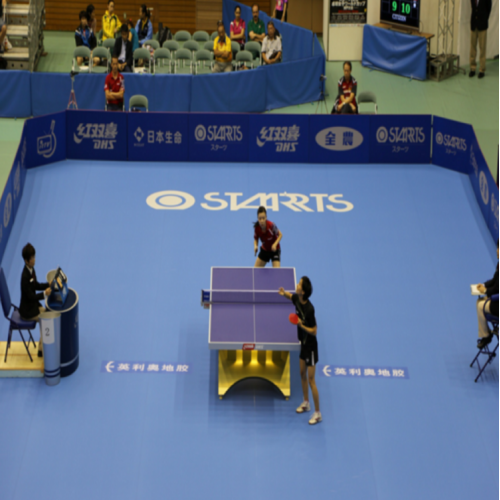 Table Tennis Interlock Mat