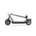 USA Warehouse Adult Folding Scooter personal GX10 escooter