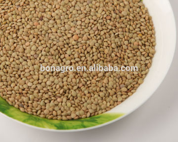 Chinese green lentil 2014crop on sale!