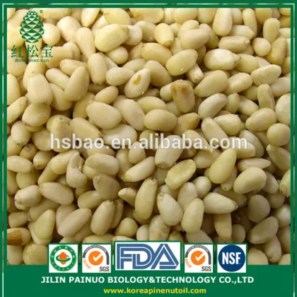 100% Wild Harvest Organic Precious Korean Pine Nut Kernels