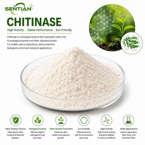 Chitinase Enzyme for Fungal & Nematode Egg Control