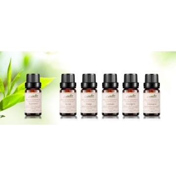 wholesale essential oil bottles aromatherapy essential oil