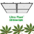 150W معدات الزراعة العمودية LED تنمو ضوء
