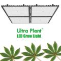 Thiết bị canh tác thẳng đứng 150W LED Grow Light