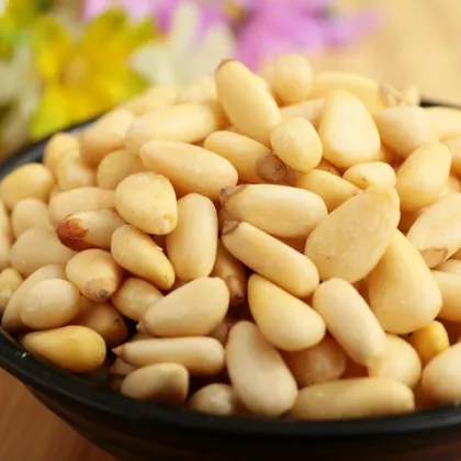 Pine Nut Pure Red Suppliers