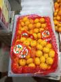 Baby mandarin apelsiner från Nanfeng