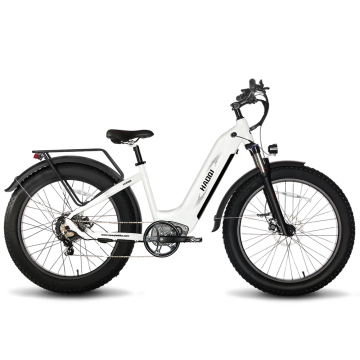 Leopard Pro 48V 20Ah Fat Tire Electric Bike