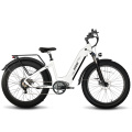 Bicicleta eléctrica con neumáticos anchos Leopard Pro 48V 20Ah
