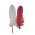 Pluma roja y blanca suave