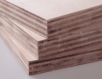 13 Ply Boards Plywood