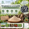مسحوق Streptomyces avermitilis Microbial لإدارة التربة ومنطقة الجذر