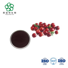 Ingrediente de bebida cranberry extrato em pó de antocianidinas