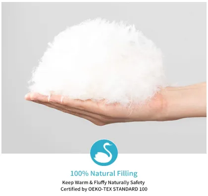 Luxurious White Goose Down Travel Comforter