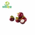 Mangosteen extract powder 10:1