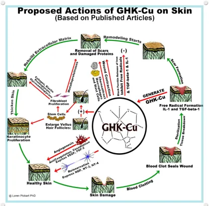 High Purity Ghk-Cu Peptide Copper Peptide Collagen