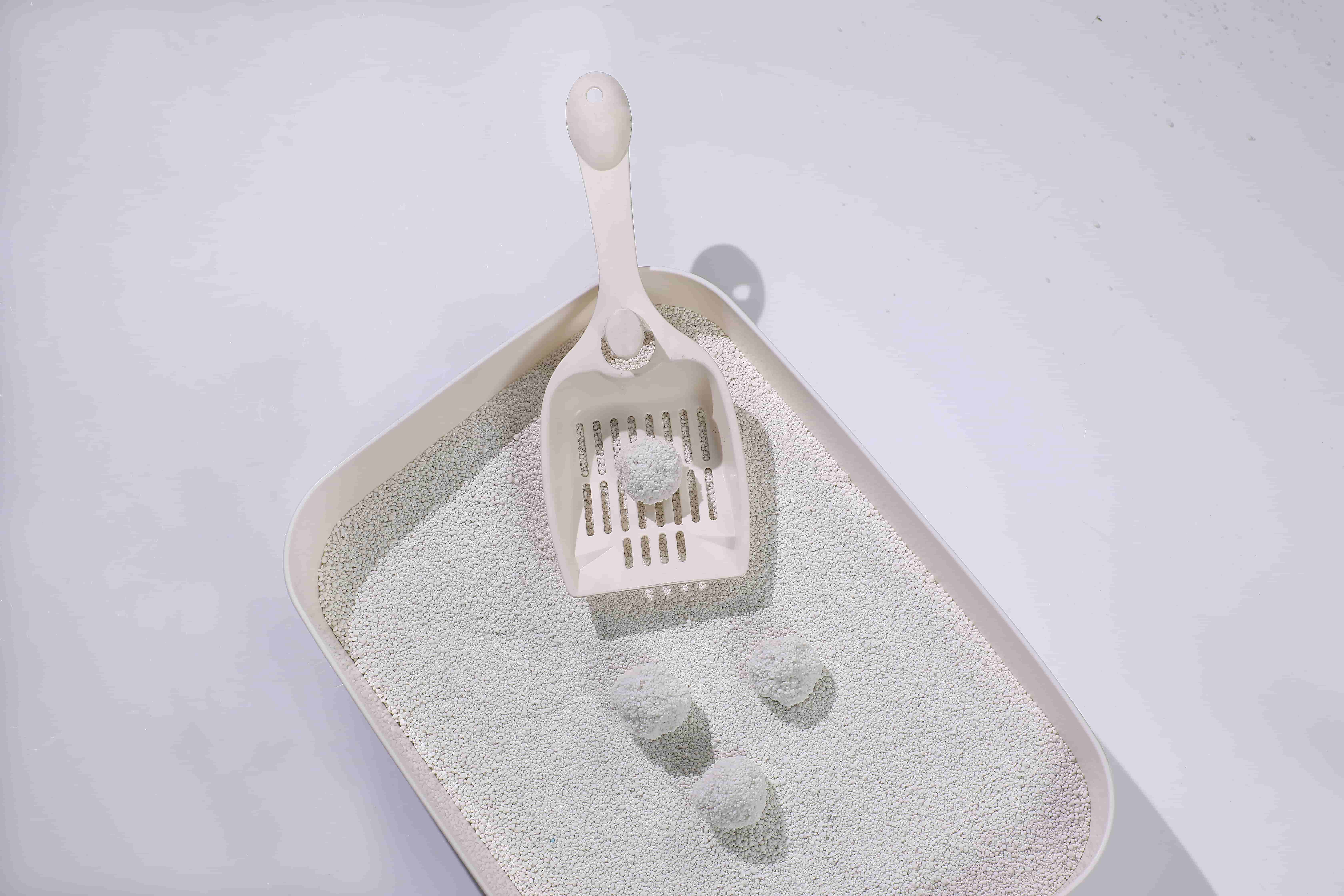 cassava litter