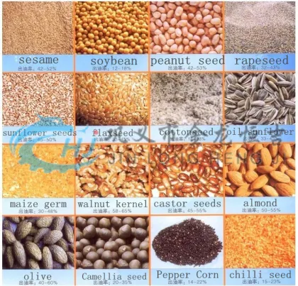 Automatic Peanut Machine: Edible Oil Press Machine & Coconut Oil Extraction