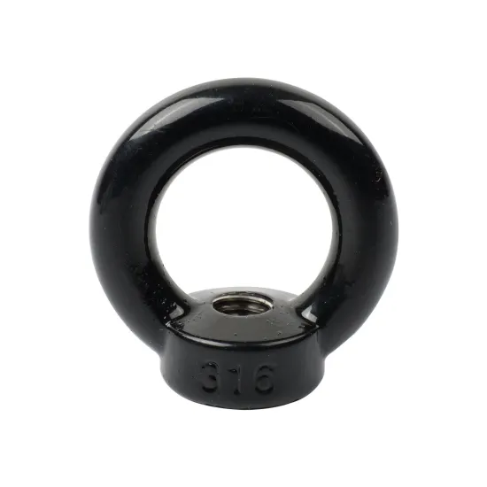 Factory Outlet Marine Hardware Stainless Steel Eye Nut DIN582