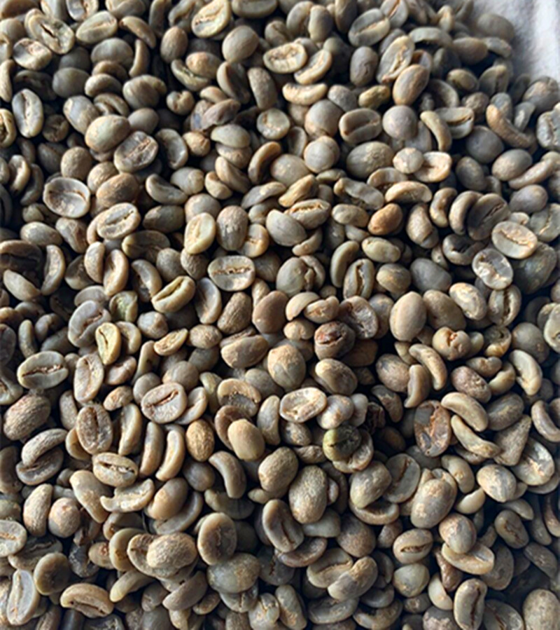 Natural Green Coffee Bean Extract 