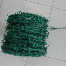Double Strands PVC Coated Galvanized Cheap Barbed Wire