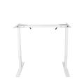 Height Adjustable Electric Standing Desk