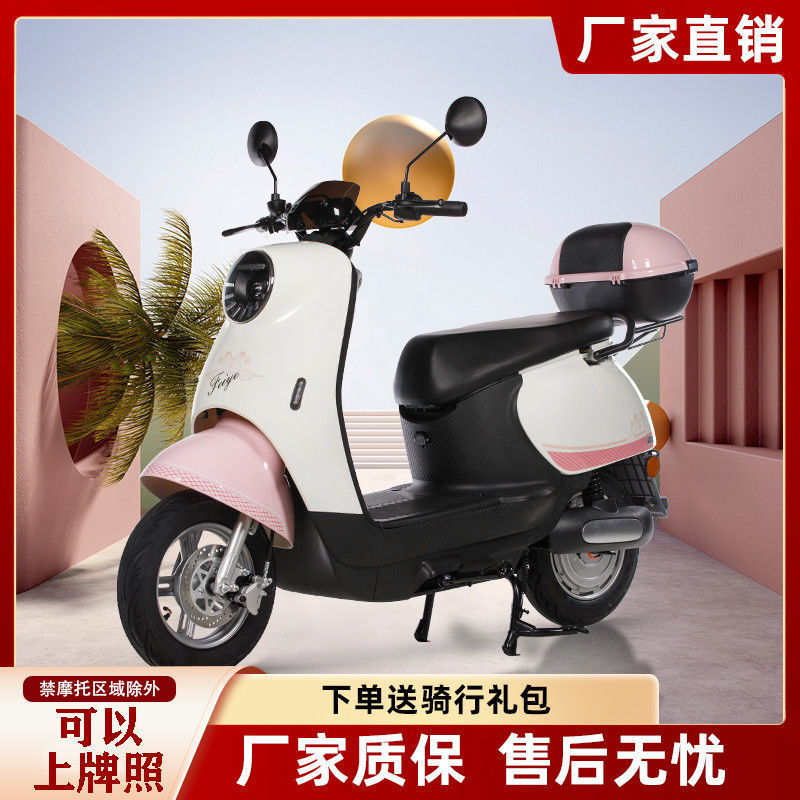 2025 Small Tortoise Electric Bike 60V Standard Adult Motorcycle