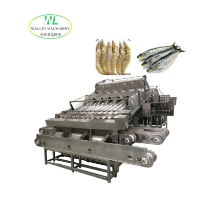 China Anchovy Grading and Sorting Equipment