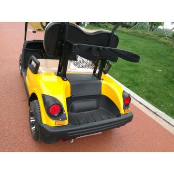 two people small gas power golf cart
