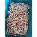 IQF frozen Squid Rings Sthenoteuthis Oualaniensis Lesson