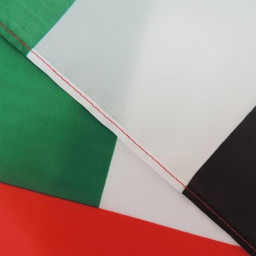 High quality 100% polyester UAE hand waving flag