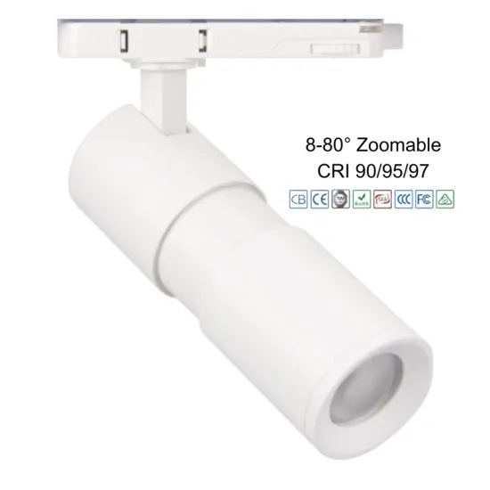 RONSE 4000K 25W Framing Projector LED Track Light CRI90 CCT Adjustable 30W with Switch